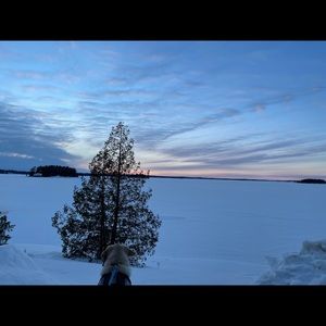 Meet your Posher, Alisha